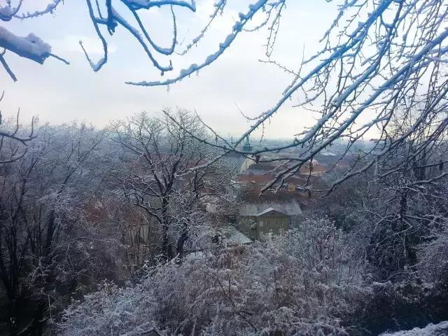 慢游全世界第8期完整,慢游全世界第二季免费观看