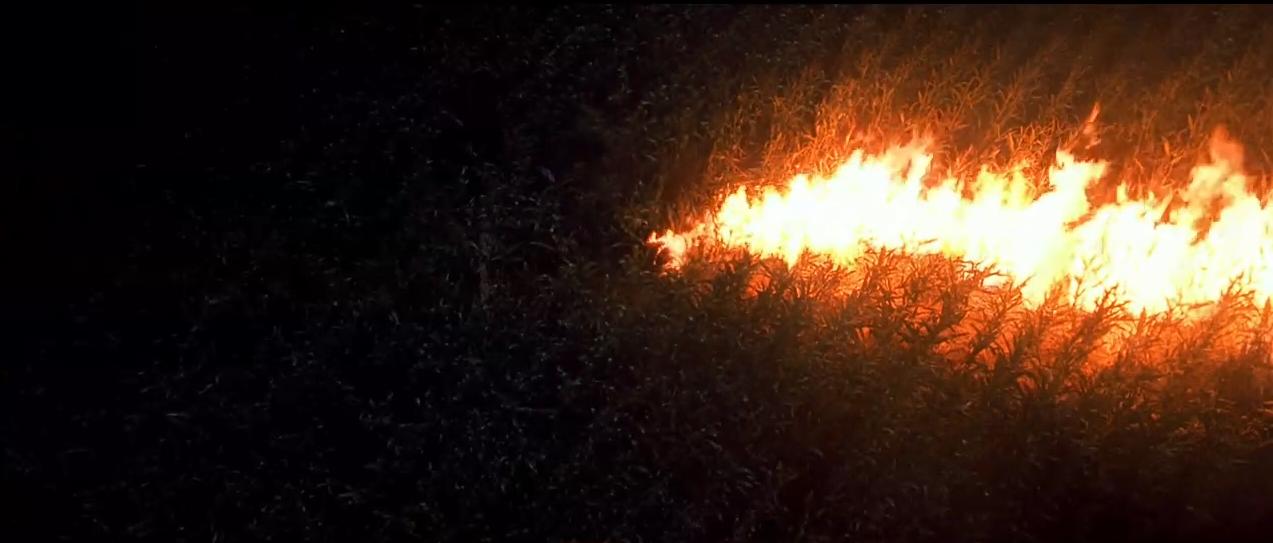 杰森大战鬼王弗莱迪,弗莱迪大战杰森系列