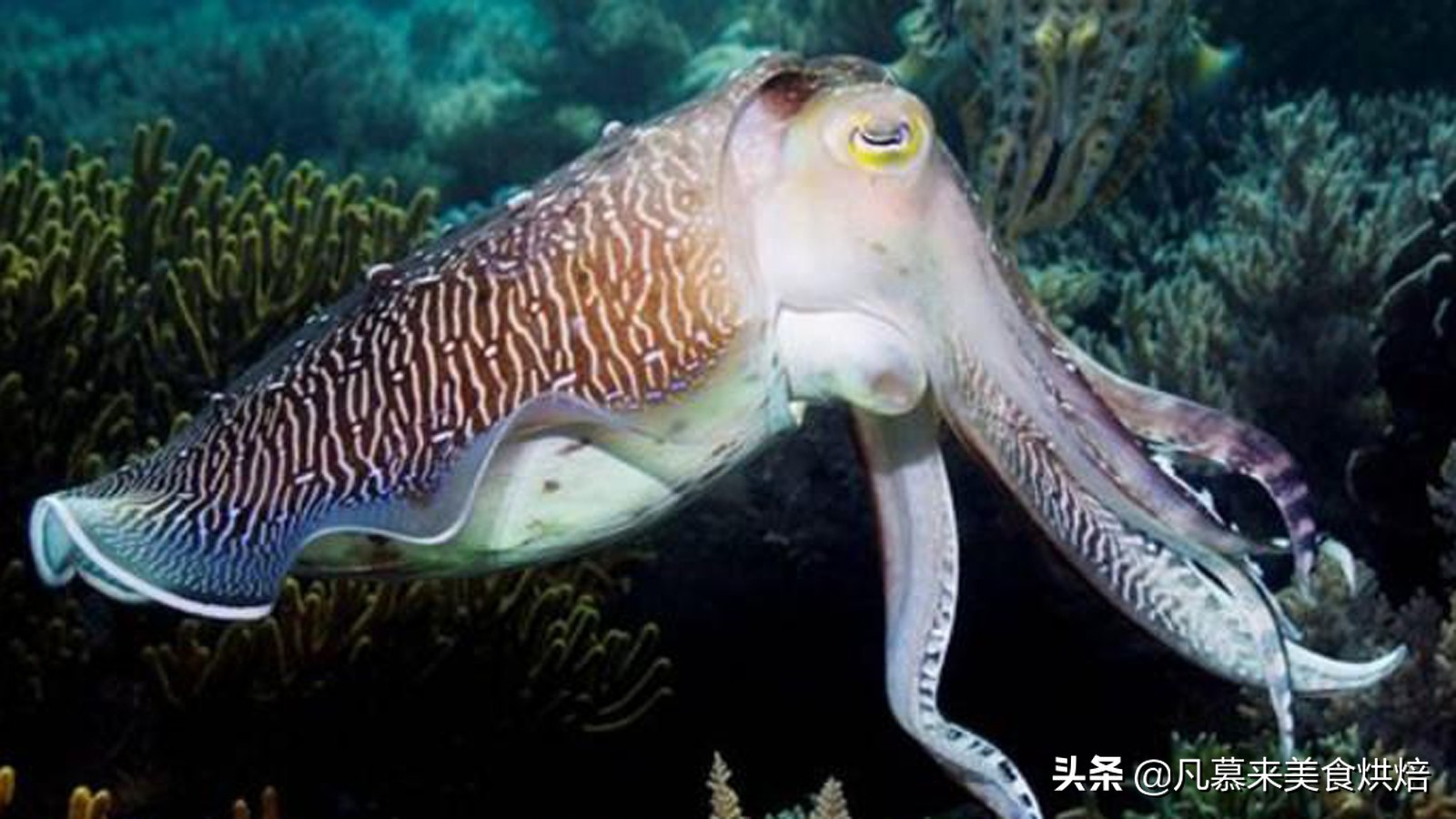 唐山什么特产适合送人,客人来唐山带点啥特产