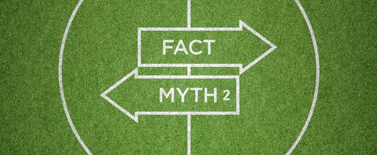 投注稳赚骗局,投注为什么会输