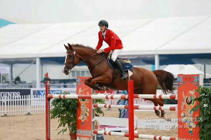 帅呆了！我们的太仓马术少年！