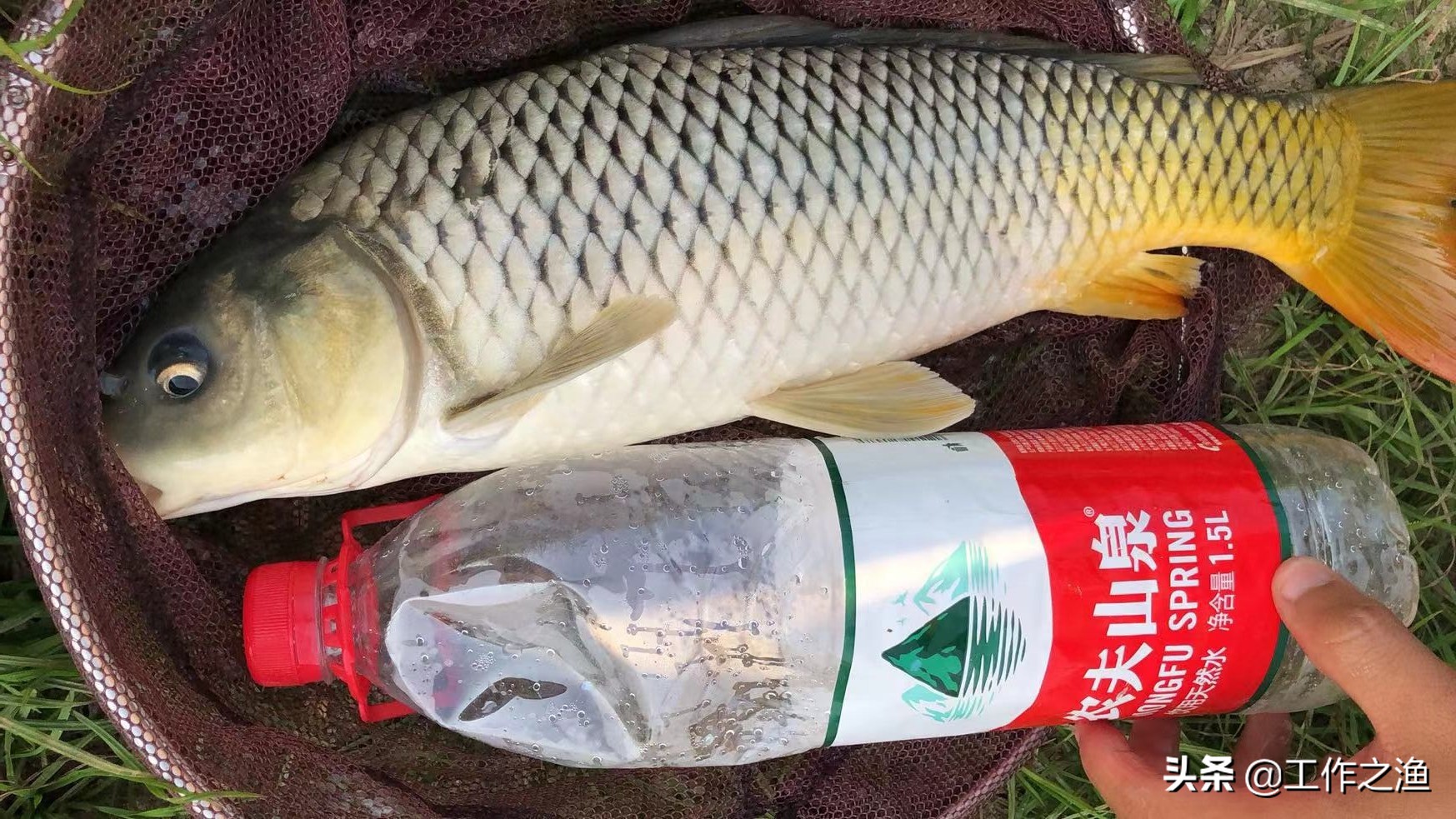 夜钓天黑,夜钓秋末