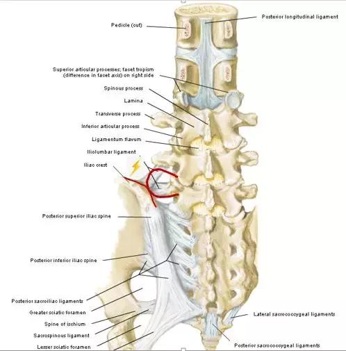 小小年纪就腰痛是为什么,青少年突然腰痛是什么原因