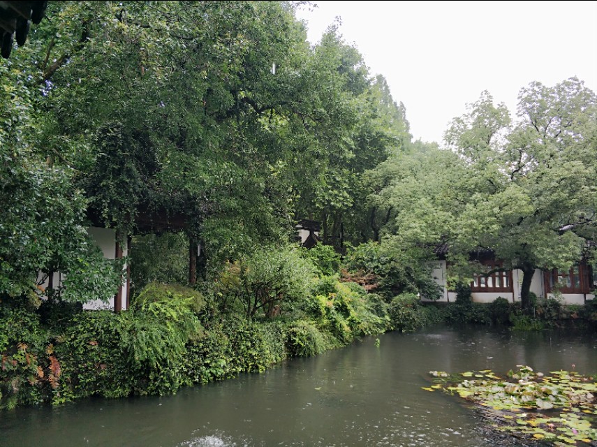 杭州西湖景点郭庄视频,杭州郭庄园林