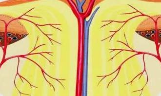 若同时得了青光眼和白内障，先治哪一个？