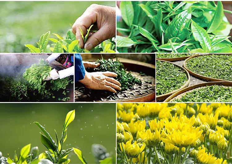 lvtp是什么,lvtp是什么意思