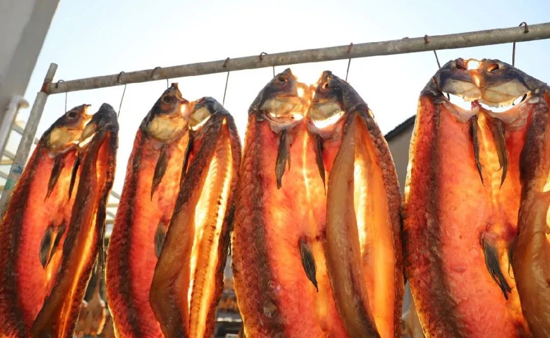 苏州西山十大知名农家乐有哪些,带你走一走苏州的太湖边农家乐