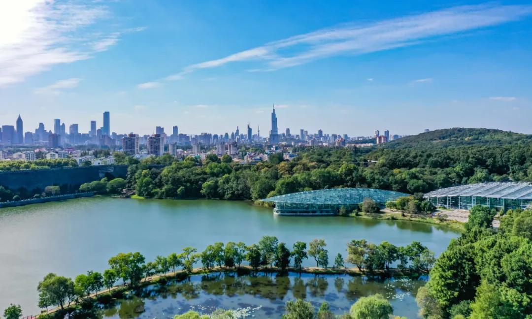 建言献策共绘蓝图,建言献策谋发展