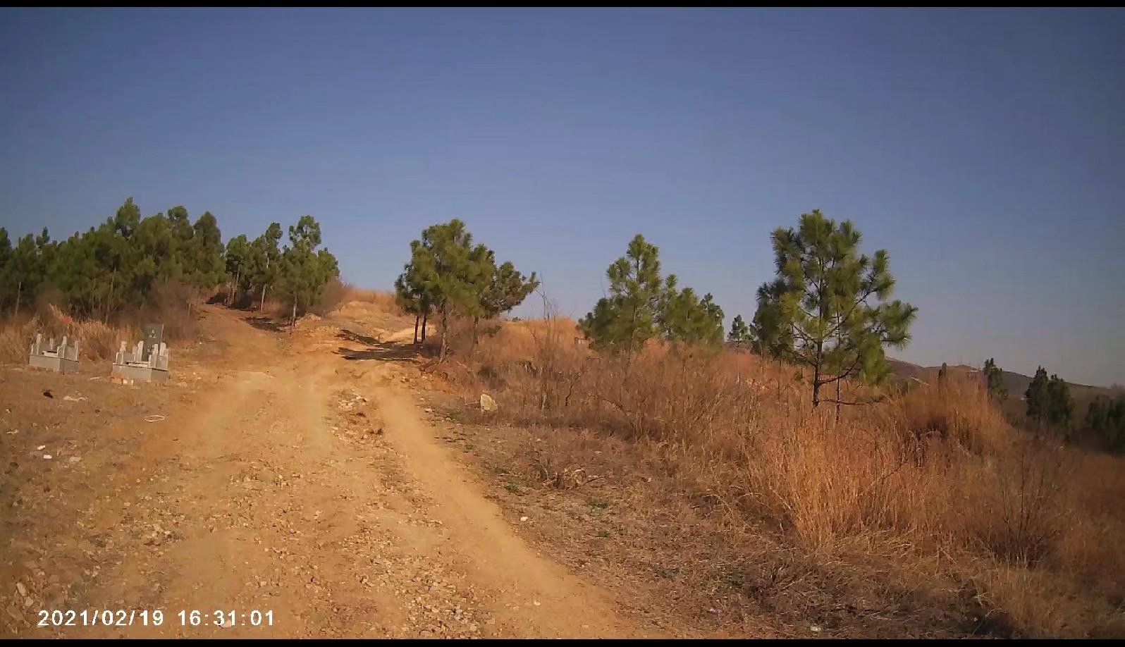 摩托周边旮旯游——探访蚌埠李楼鲁山寺遗址（上）