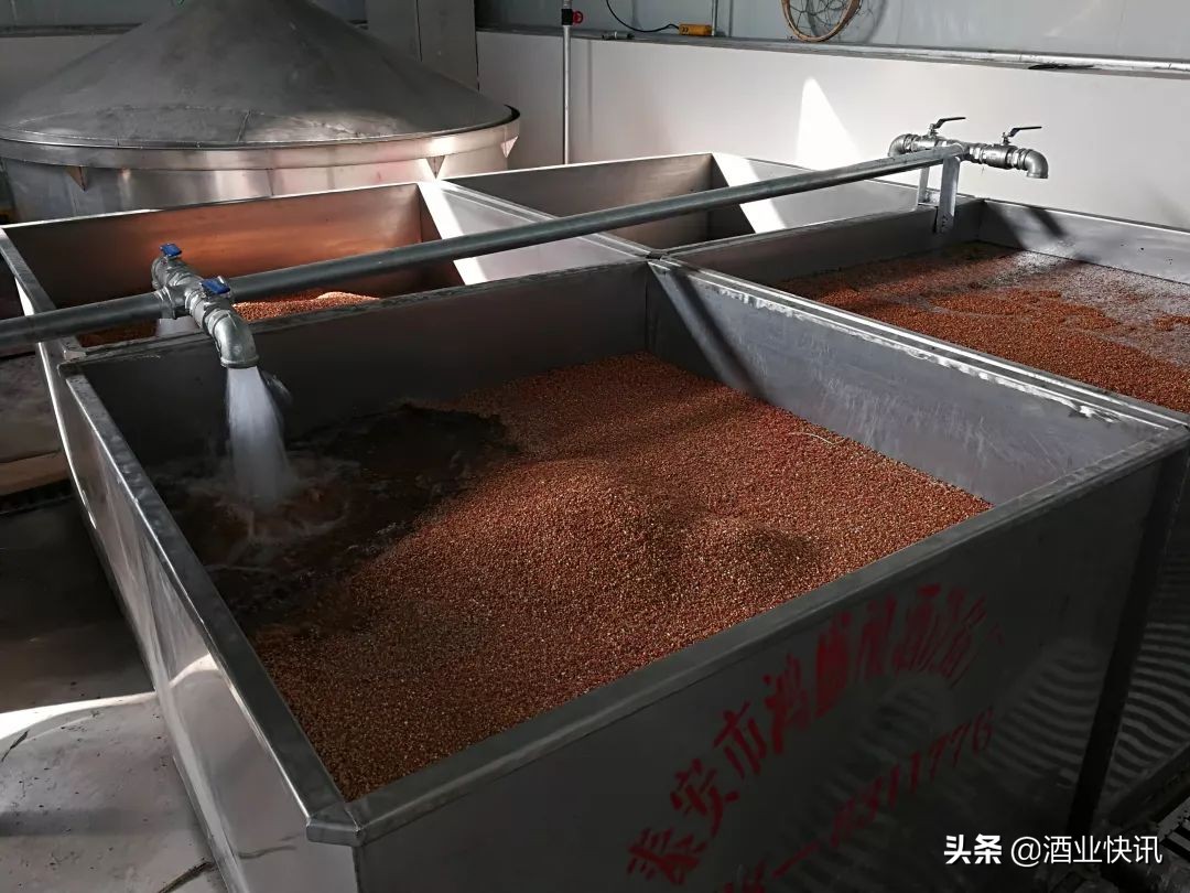 白酒知识酒文化,白酒知识粮食酒