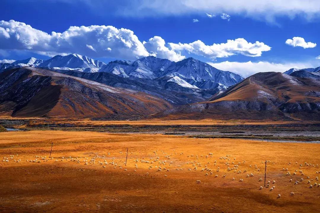 张掖啥意思,张掖古代叫什么