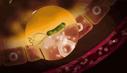 一口黄牙能洗白吗,一口黄牙毁了一张脸