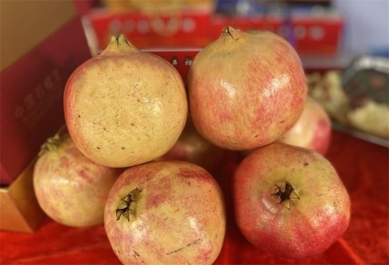 9月份云南有什么好吃水果,云南瓜果飘香有你最爱的吗