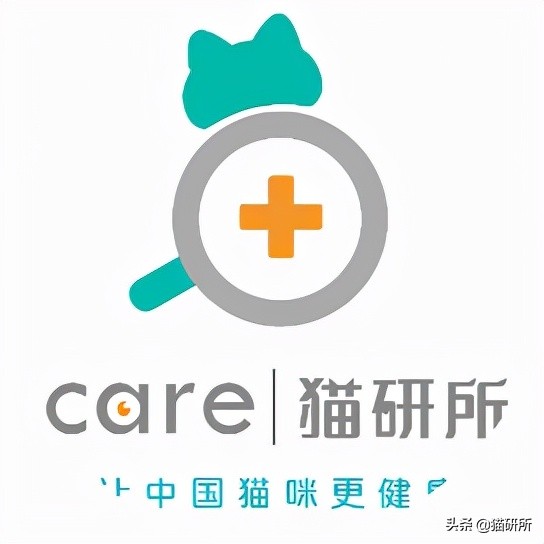 假期外出如何给猫咪找靠谱寄养,怎么找靠谱的猫咪寄养