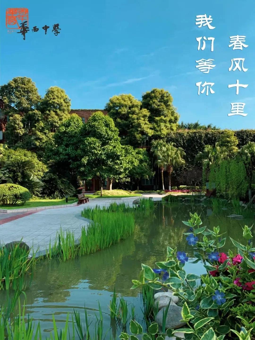 成都直属学校哪所好,成都大学附属中学是什么学校