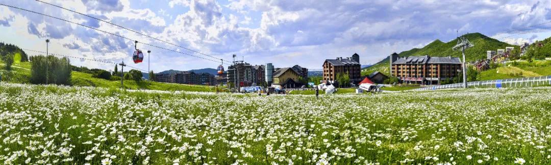 什么?考生与家长不能同框?