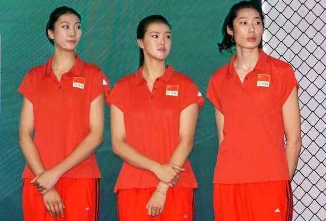 排球知识的详细解释,排球知识揭秘动画