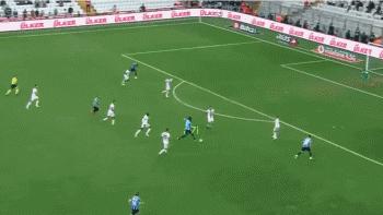 为什么说巴洛特利没脑子,众人评价巴洛特利