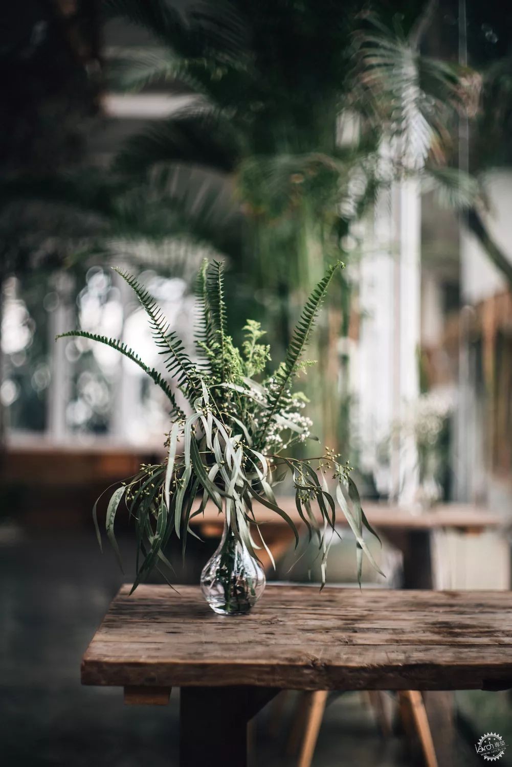 sasa，西西，设计师老王和三圣乡的“亲家DearHome”