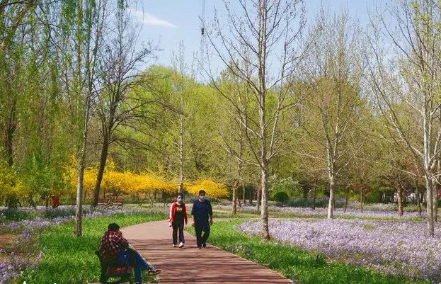 北京戒台寺郊野公园,北京燕山东岭郊野公园