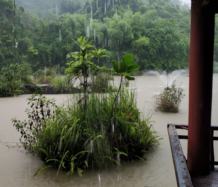 我的旅行回忆之贵州黄果树瀑布,初夏黄果树瀑布