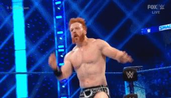 wwesd和raw所有选手,wwesd冠军腰带