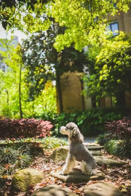 李妍现在怎么样了,李妍是一个怎么样的人