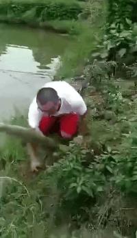 搞笑gif妹子你确定不是来搞笑的,搞笑gif妹子这手速老厉害了