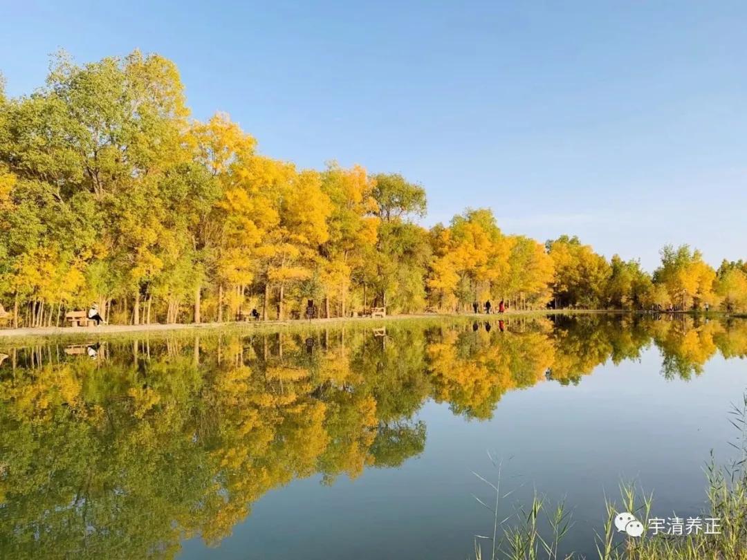 让自己成为站立在天地间的那个人