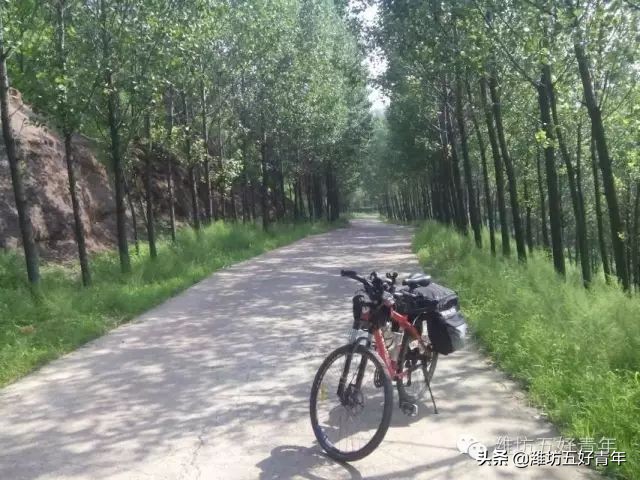 西行纪的最后一集,西行纪最后片段