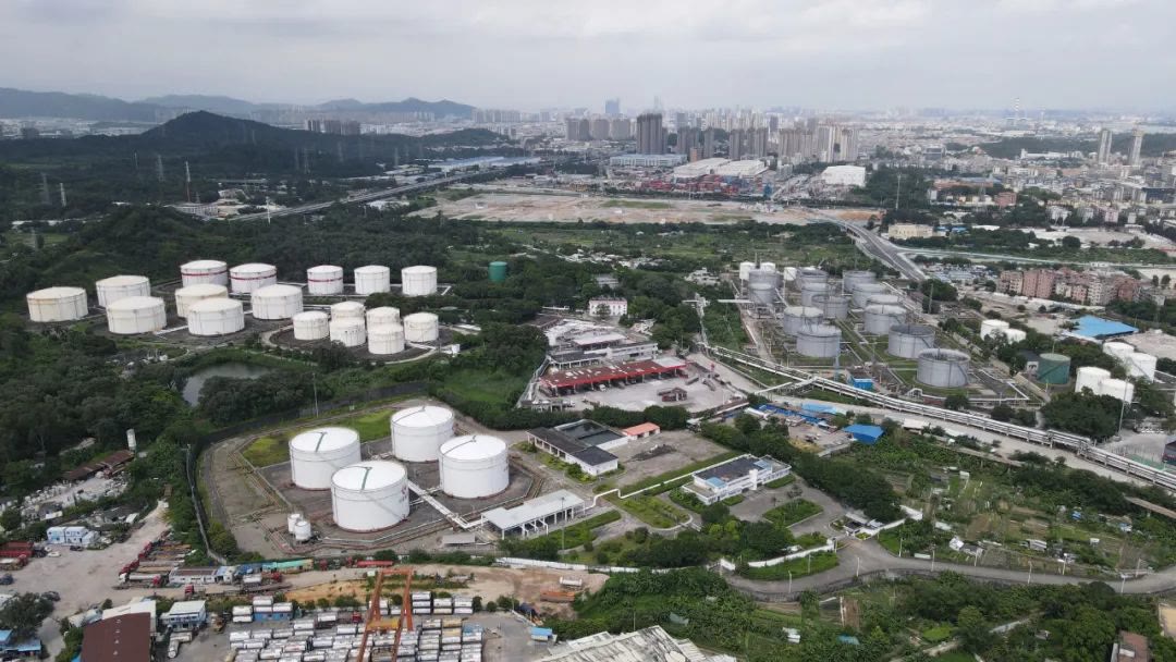 现在的黄埔还招生吗,如今的黄埔