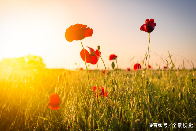 妯娌关系不好兄弟怎么处理,和妯娌属相不合怎么化解