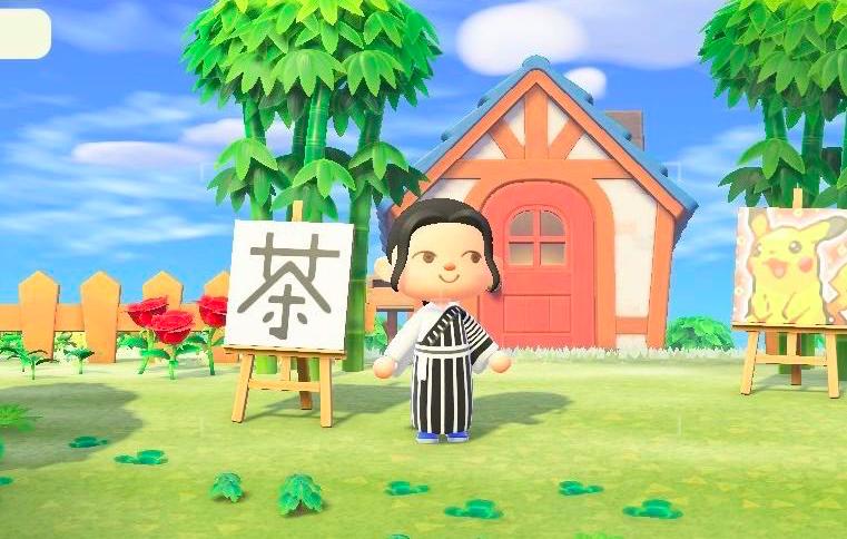 猫咪盲盒真正的猫咪,猫咪盲盒无毛猫