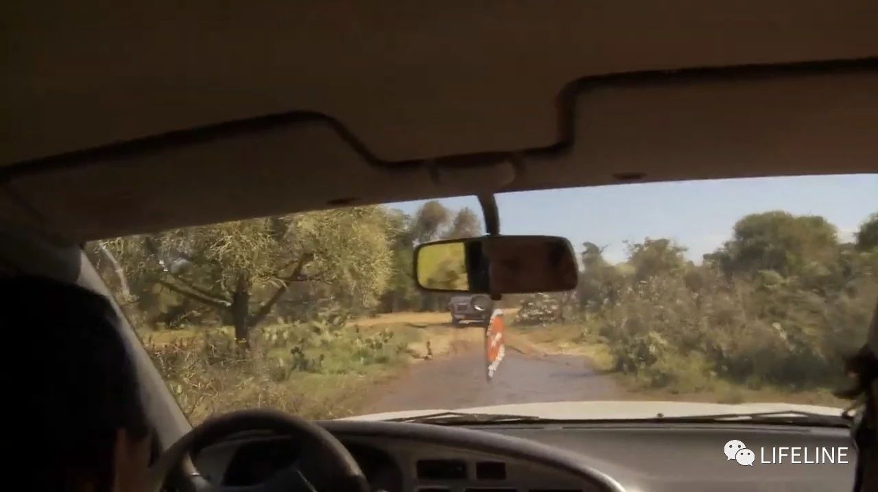 龟中“考拉”，请别让我们的孩子在博物馆见到它们...