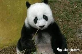 童年回忆整容,童年回忆杀衣服鞋子