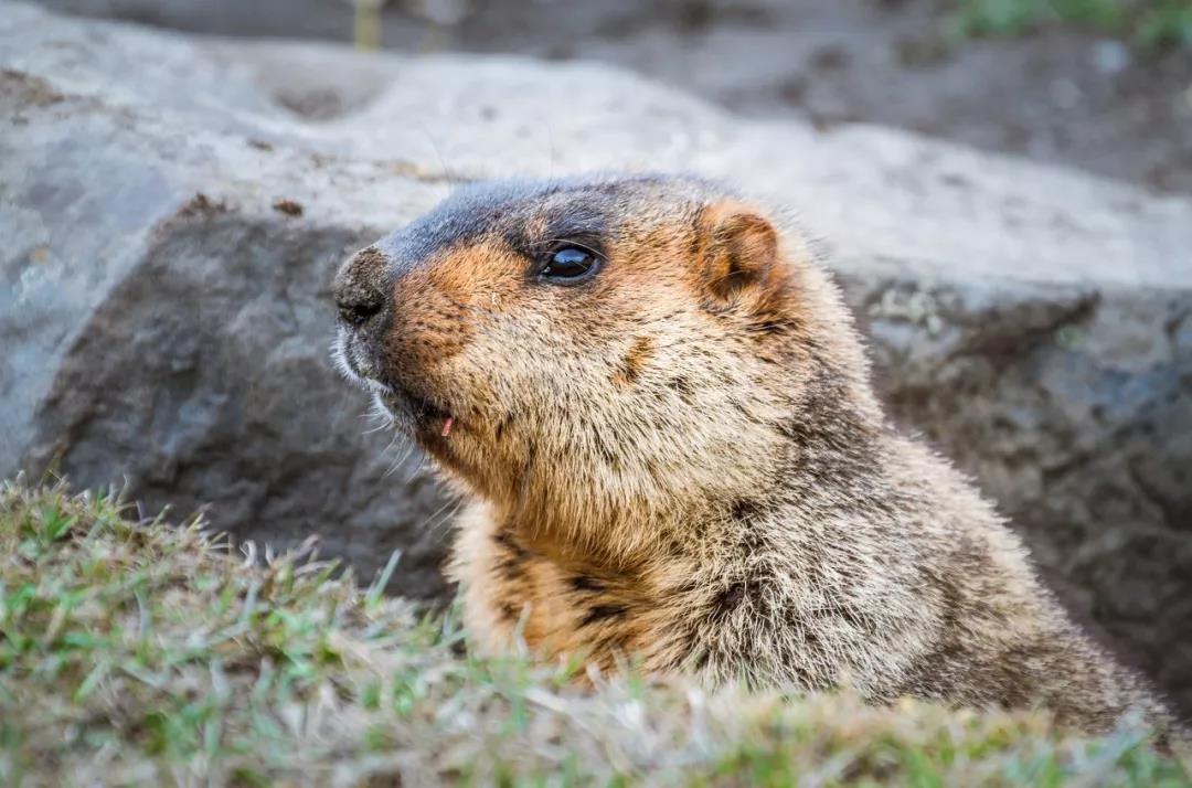 一个被上帝偏爱的地方,一个被上帝遗弃的城市