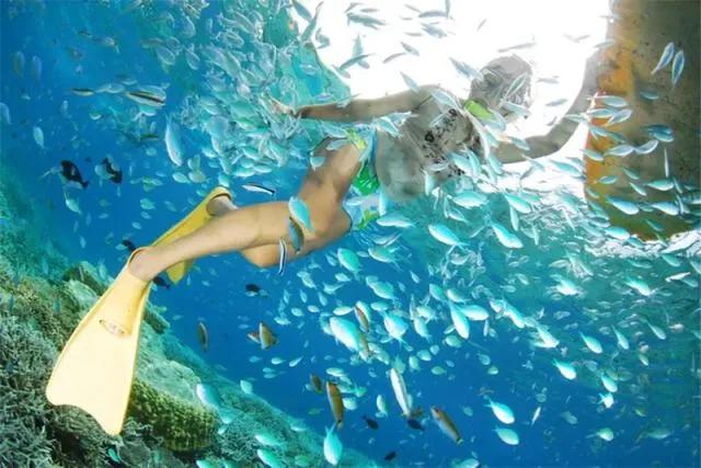 真实帕劳,帕劳的真实体验