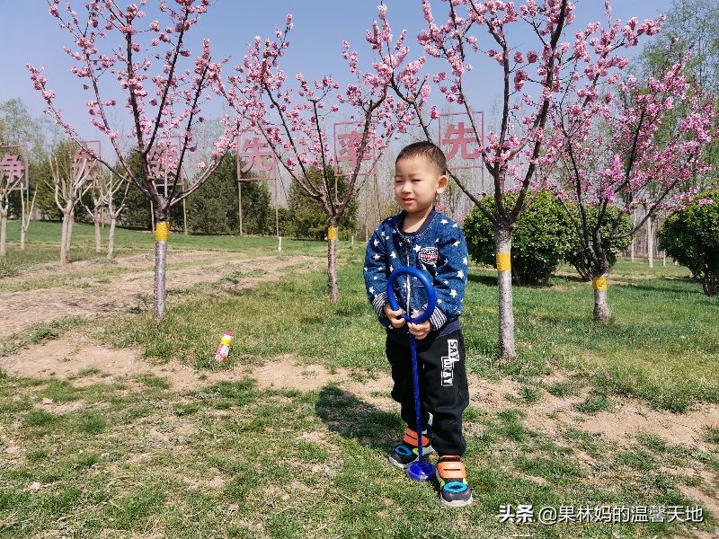 以娃的名义折腾家长怎么解决,以戏弄为目的逗孩子