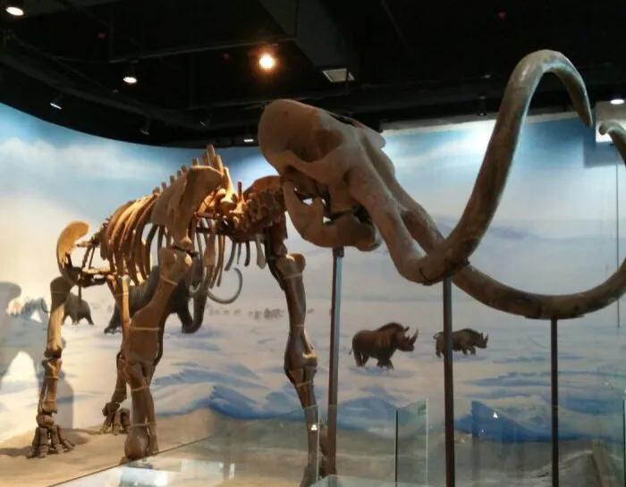 暑假去深圳哪个景点更好玩,暑假带孩子深圳必去的地方