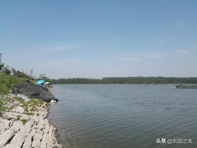 矶钓小爆炸钓法饵料配方,冬季野钓小矶竿什么钓位最好