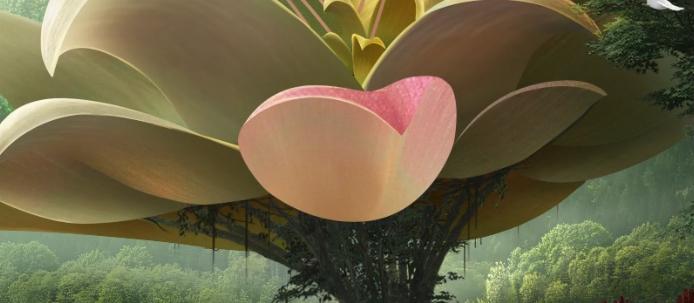 素材大佬常用的素材在哪里找,大神们都在用什么软件找素材