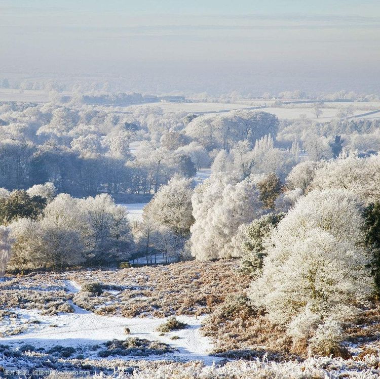秋韵温柔岁月，冬情惊艳时光