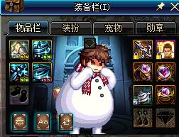 dnf固定减cd套,dnfcd套搭配源能专家