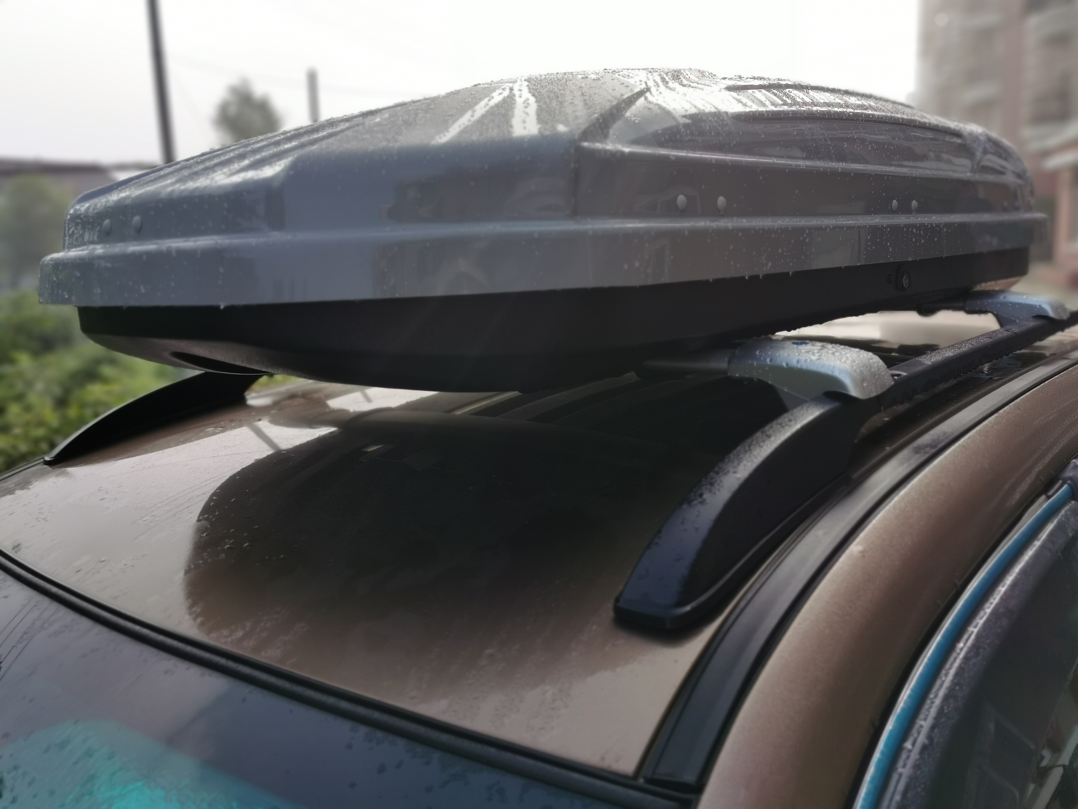 带狗爬山需要准备的装备大合集,准备带狗狗去旅行