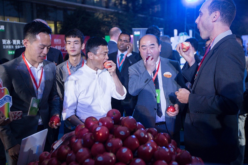 天猫店群最新模式,天猫店群模式未来