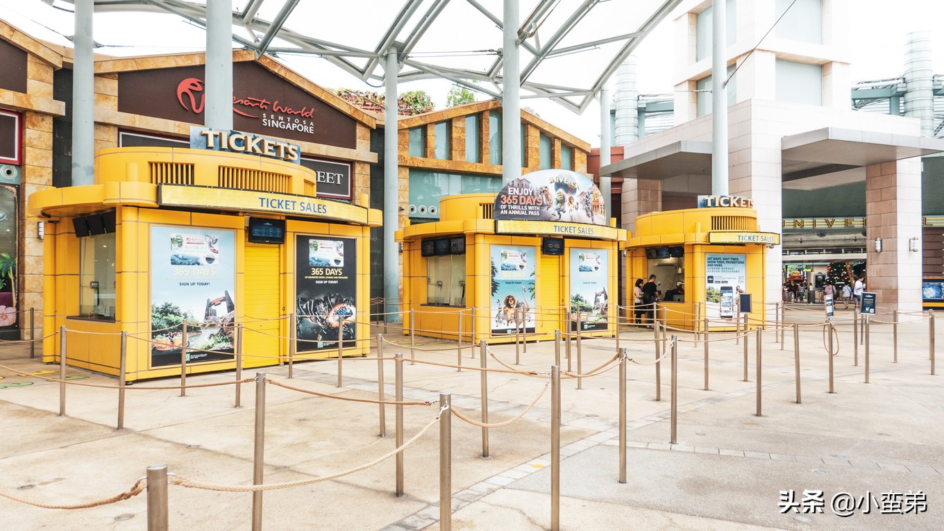 5年之许，小白逆袭重返新加坡