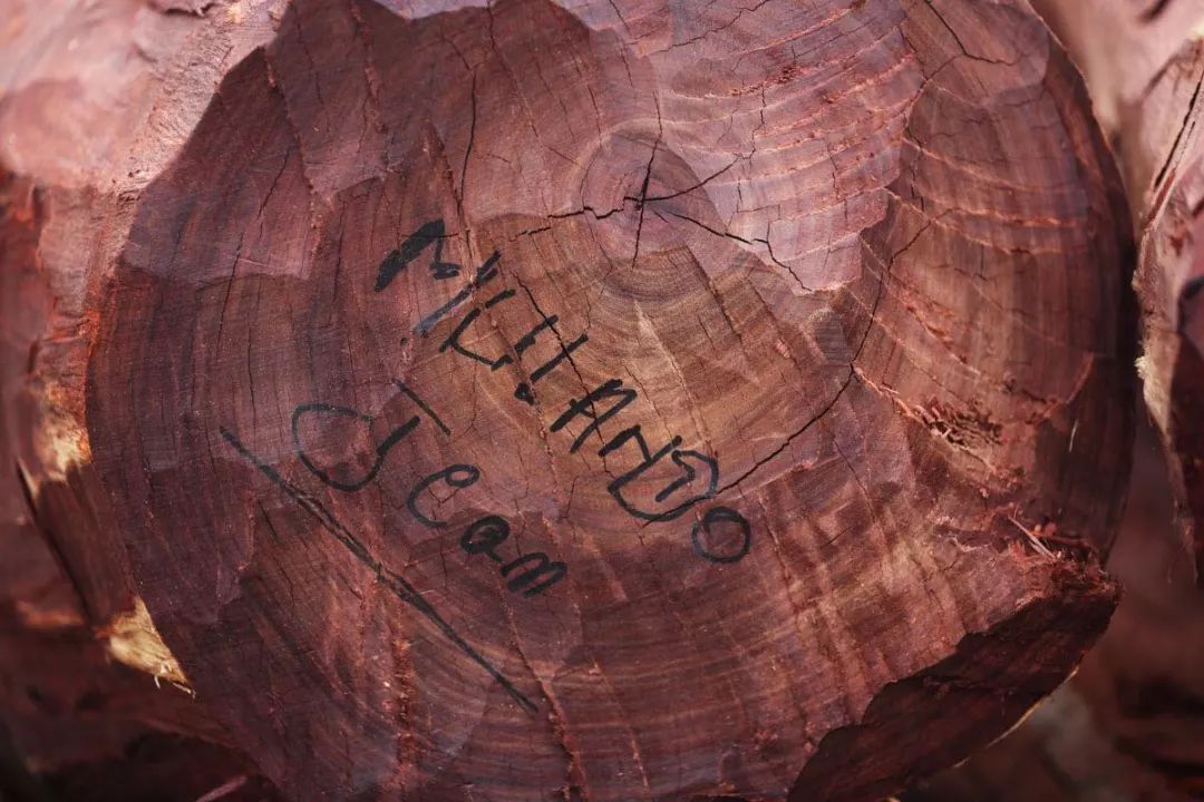 红木血檀最新消息,血檀带出去丢人吗