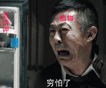 十万个为什么植物为什么要落叶,落叶植物为什么到了冬天会落叶