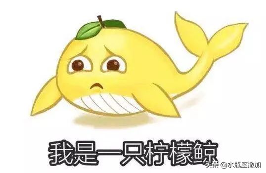 中国移动查网龄送流量是真的吗,中国移动查网龄送流量是怎么回事