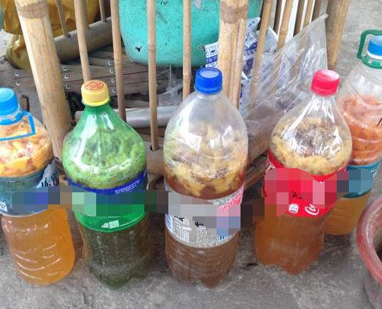 橘子皮养花施什么肥好用,橘子皮肥料适合种菜吗